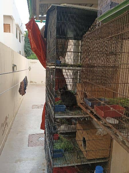 7 portion heavy material cage available for sale 7