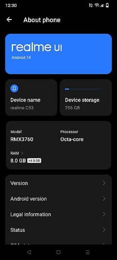 realme c53 256gb 8+4rom