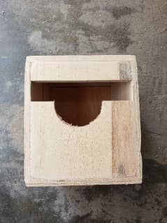 finch bird box