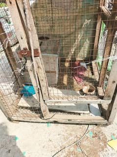 Cage for birds teatar parrots chakor etc