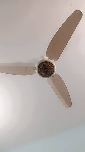 3 Ceiling Fans 2