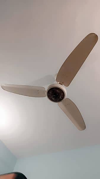 3 Ceiling Fans 3