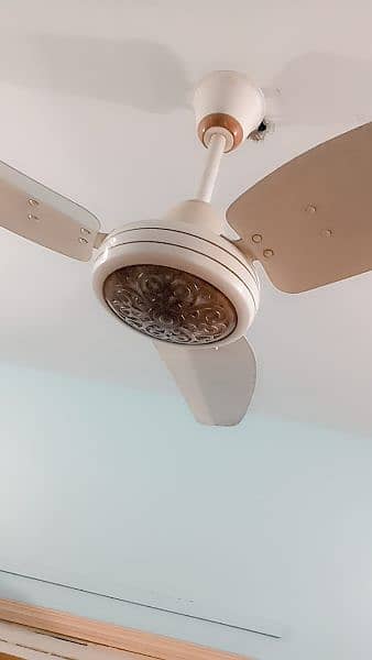 3 Ceiling Fans 4