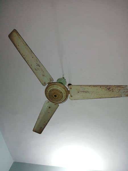 3 Ceiling Fans 11