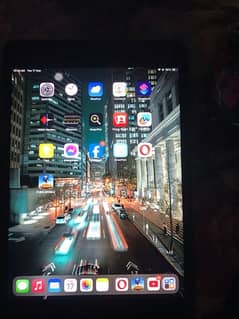 iPad mini5