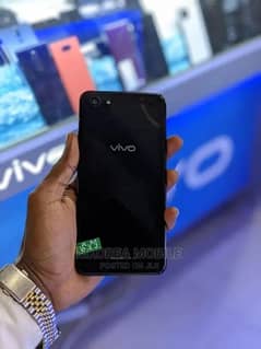 vivo