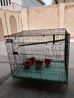 parrot cages