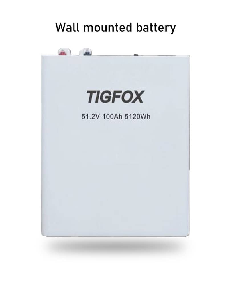 48V 100Ah Tigfox LFP Battery 0