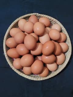 Desi eggs for sale 100% Organic