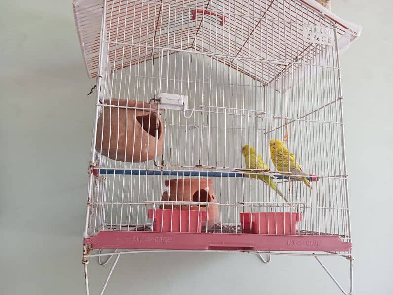 two parrots with different breeds with a wooden cage 0