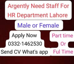 male or female fresh Candidate Apply Now