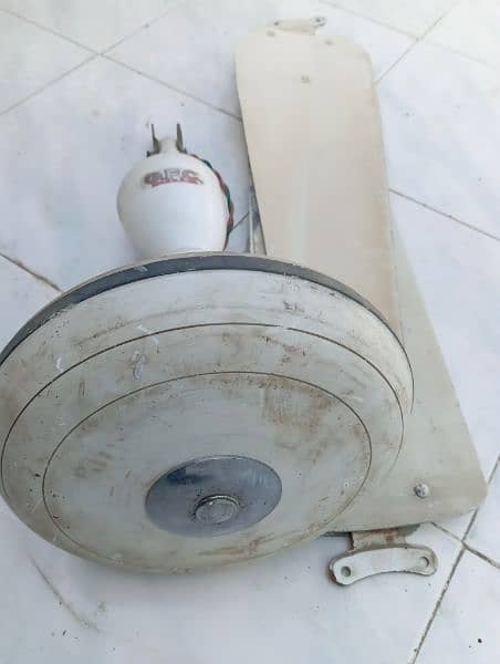 Ceiling Fan For Sale 1