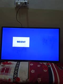 orient brand LED