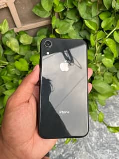 iphone xr (64Gb) waterpack 0