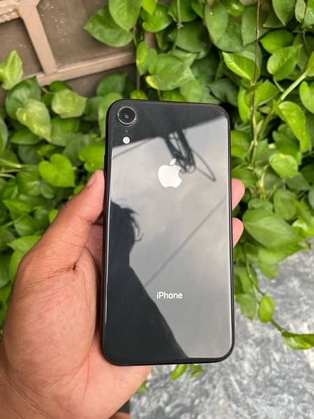 iphone xr (64Gb) waterpack 0