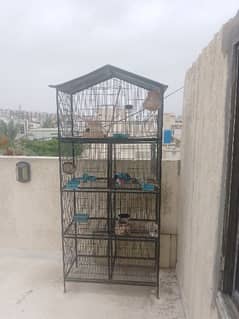 birds cage