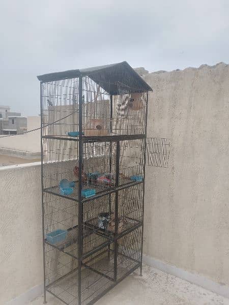 birds cage 1