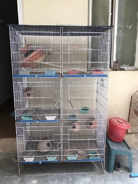 Hen cage for 11500 2