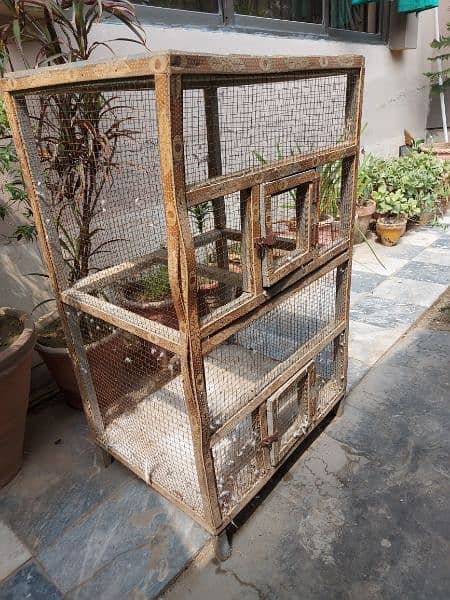 Birds Cages. 5