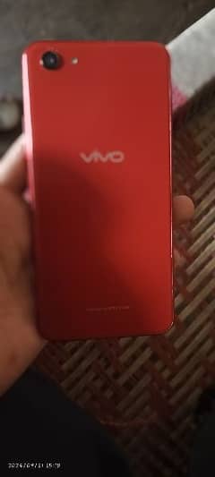 vivo