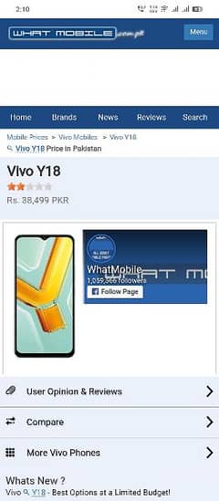 vivo