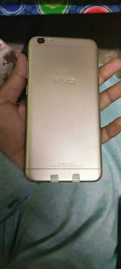 Vivo