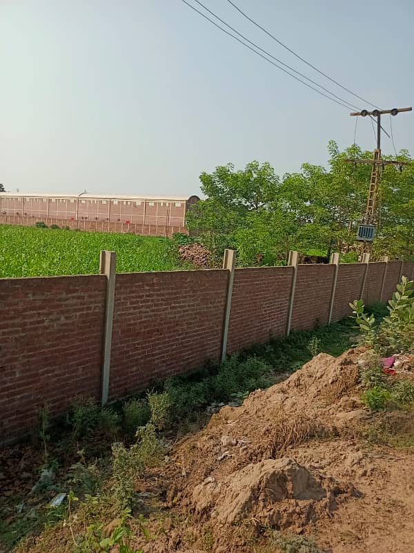 20 Kanal Agricultural Land Available for Sale Rs. 55 Lakh Per Kanal situated at very prime location of Canal Road Near Bahria Town Lahore & New Lahore City & Multan Road Lahore 0