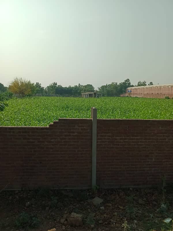 20 Kanal Agricultural Land Available for Sale Rs. 55 Lakh Per Kanal situated at very prime location of Canal Road Near Bahria Town Lahore & New Lahore City & Multan Road Lahore 1