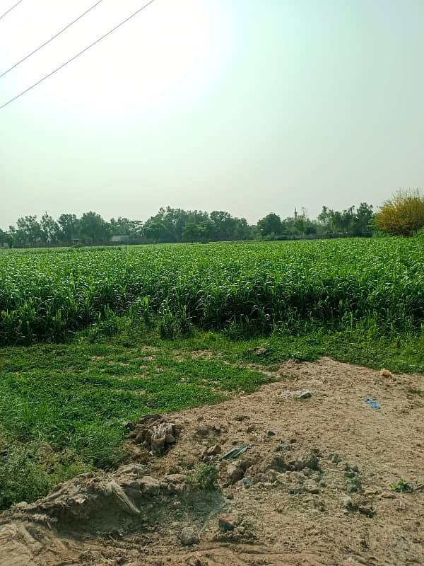 20 Kanal Agricultural Land Available for Sale Rs. 55 Lakh Per Kanal situated at very prime location of Canal Road Near Bahria Town Lahore & New Lahore City & Multan Road Lahore 4