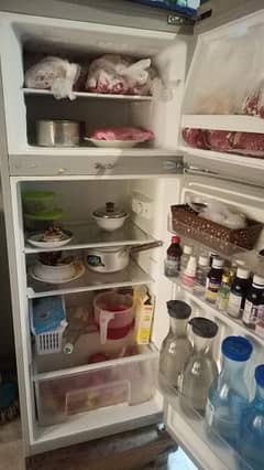 Glanz Imported fridge