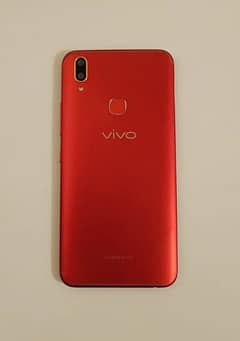 Vivo