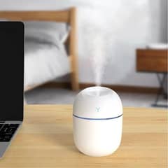 Mist Sapryer humidifier