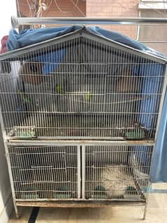 Cage for hens & parrots