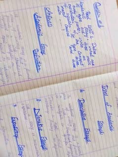 hand writing assignment work