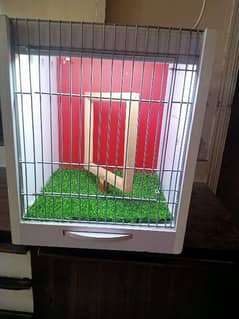 Birds show cage.