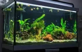 3 feet aquarium with filter