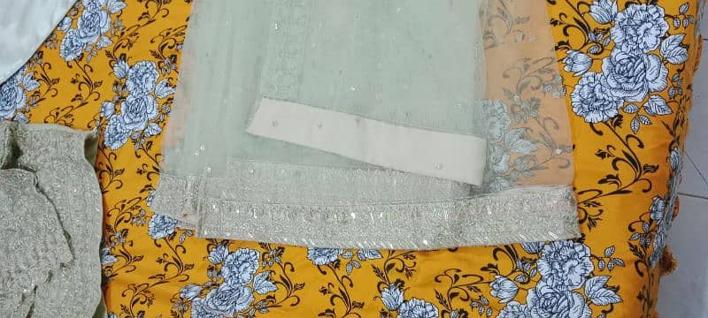 Maria B. Organza net and Silk saree 2