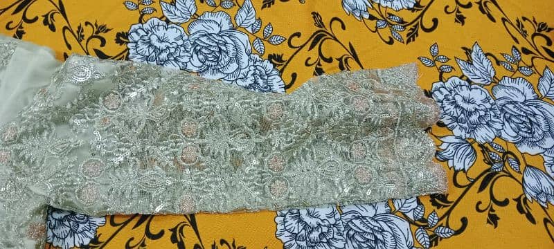 Maria B. Organza net and Silk saree 8