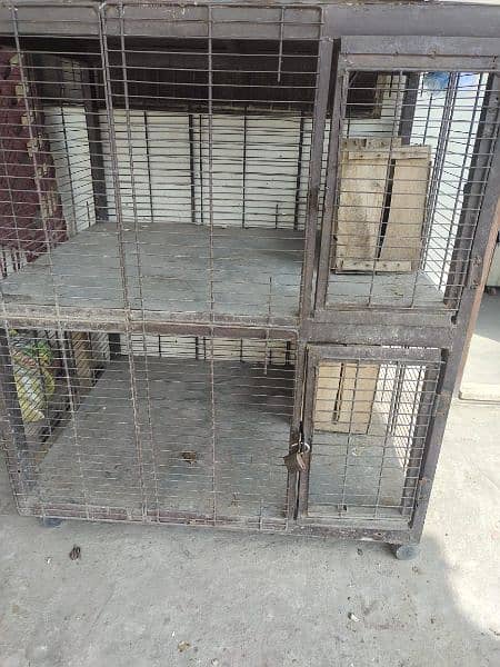 Hens and Cage for Sale 2