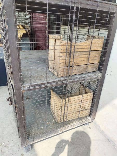 Hens and Cage for Sale 3