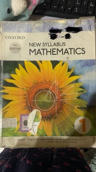 maths D 1 2 3 4 books with two workbooks 0