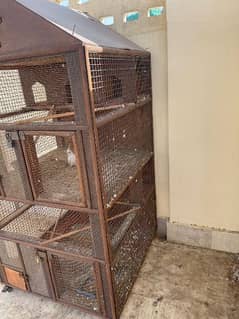 parrot cage