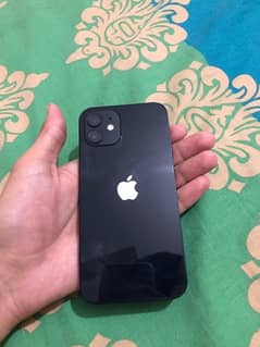 iphone 12 black colour