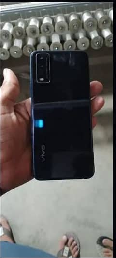 vivo