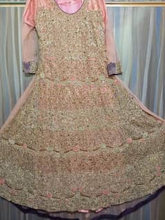 bridle walima maxcy