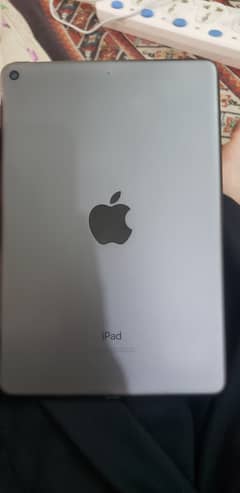 Ipad mini 5