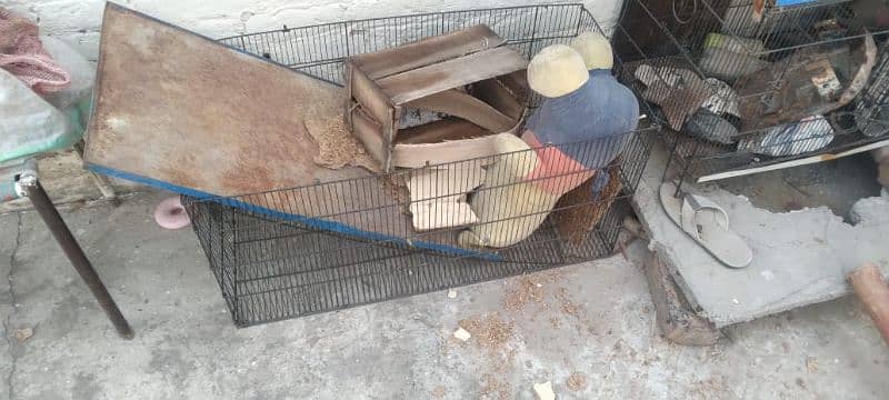 Birds Cages for sale ( pinjra ) 1