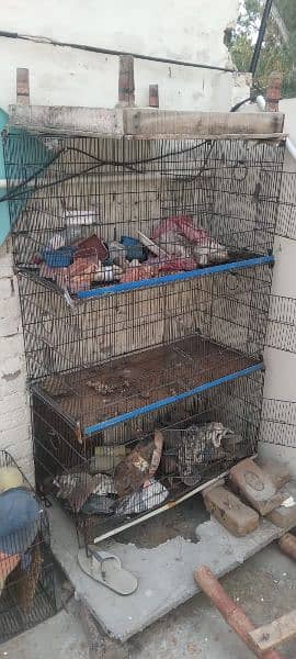 Birds Cages for sale ( pinjra ) 2