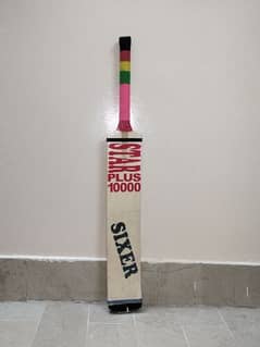 cricket bat