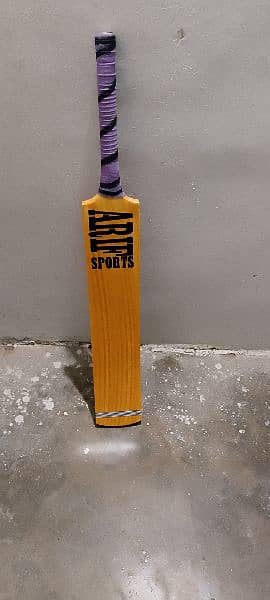 cricket bat 1